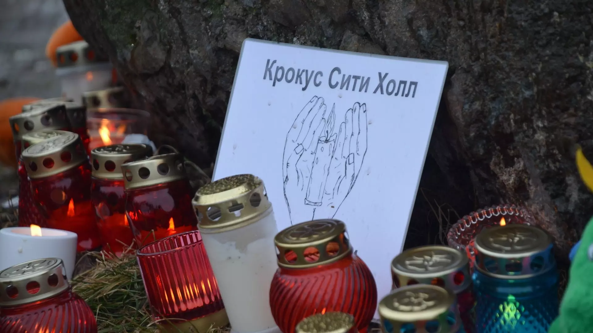 В Петрозаводске возложили цветы к мемориалу в память о погибших в «Крокусе»