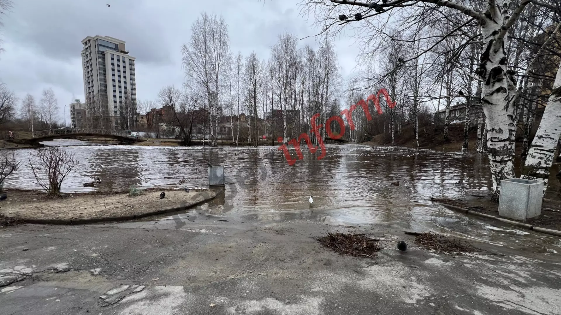 Уровень воды в реках Петрозаводска снизился