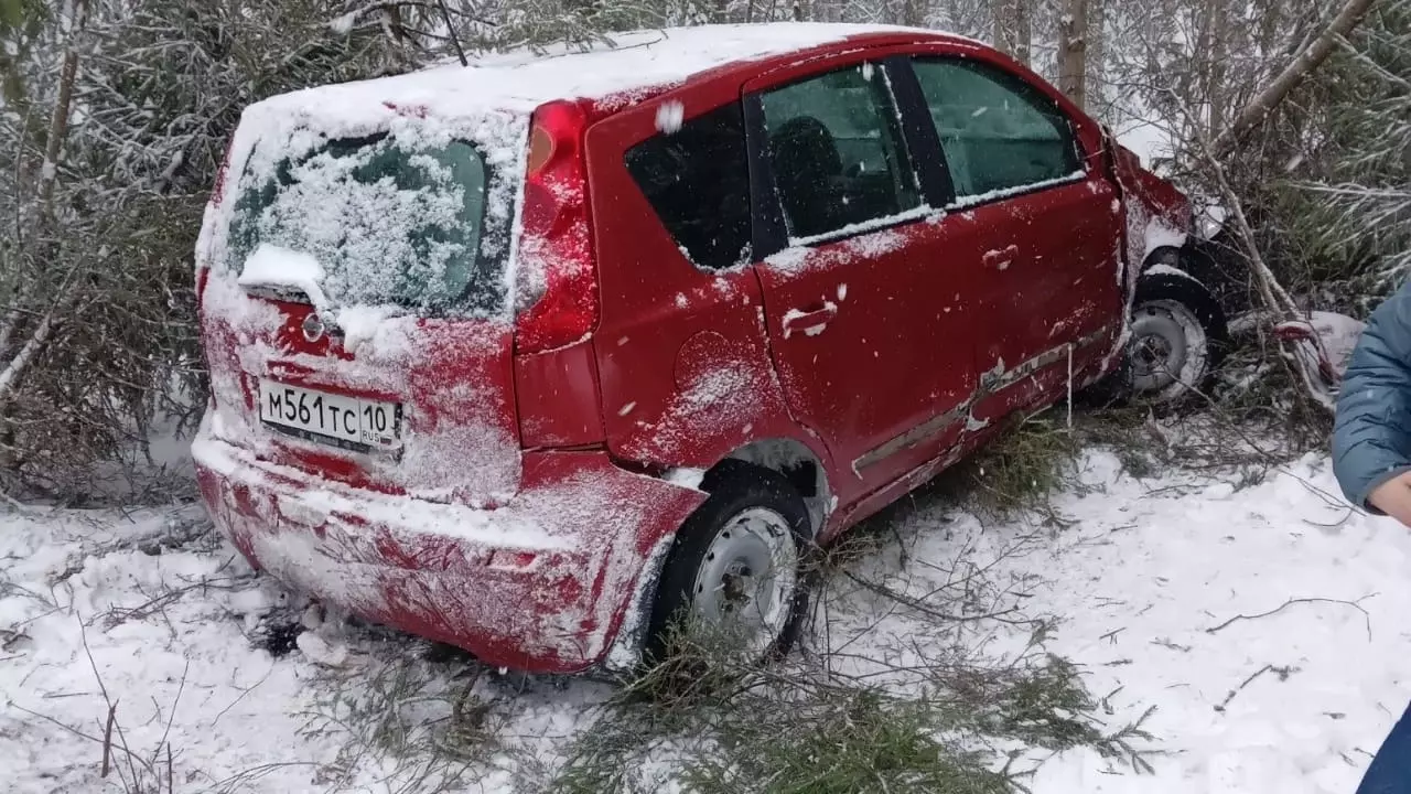 Машина протаранила дерево на трассе в Карелии